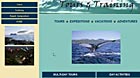 Explore Newfoundland Tours
