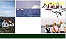 Linkum Tours